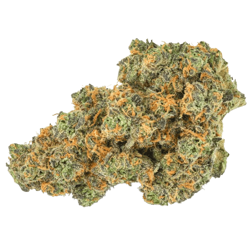 Pedanios 27/1 PND-CA Pink Diesel