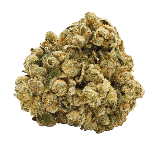 Pedanios 29/1 SRD-CA Sourdough