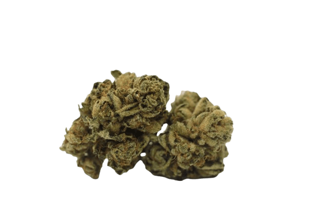 Tilray THC 22 Spotlight Porto Purps