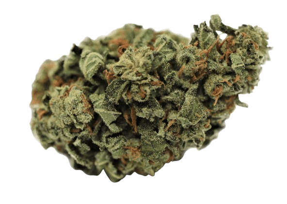 Tilray THC22 Bienville