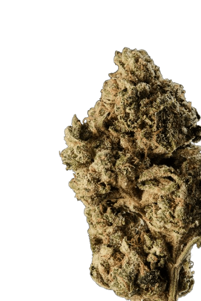 420 Compound 27/1 CA PPE Platinum Pavé