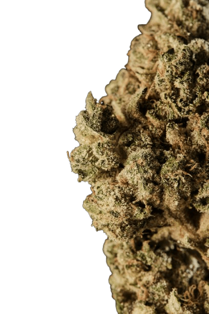 420 Compound 27/1 CA PPE Platinum Pavé