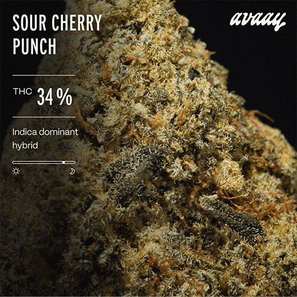 avaay 34/1 SCP Sour Cherry Punch