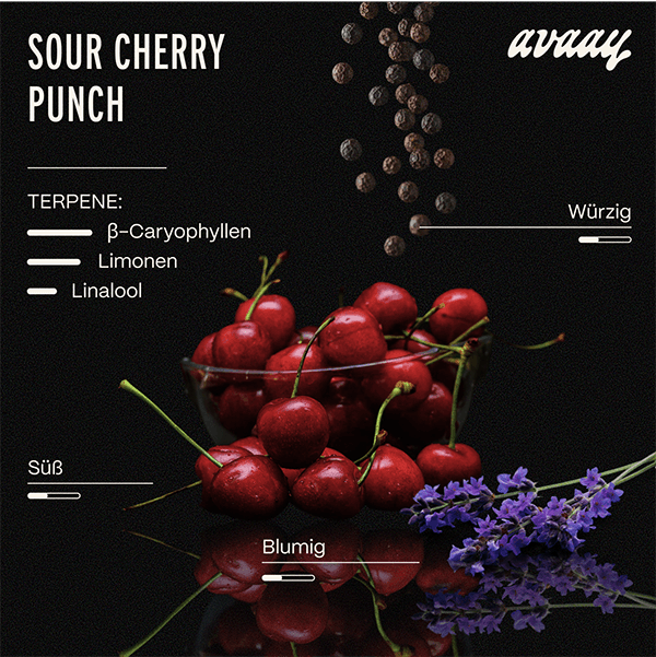 avaay 34/1 SCP Sour Cherry Punch