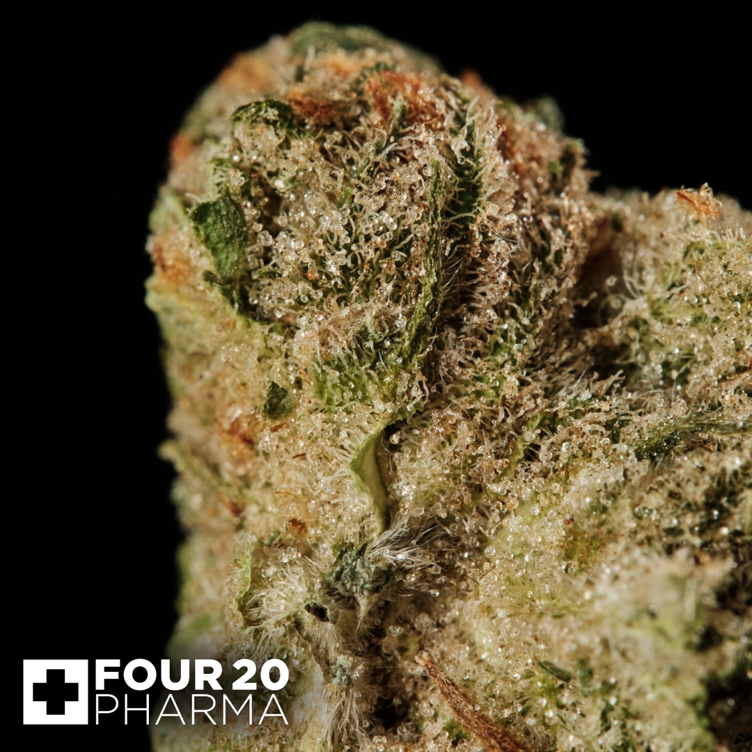 Huala 27/1 UK WTR Waffle Truffle