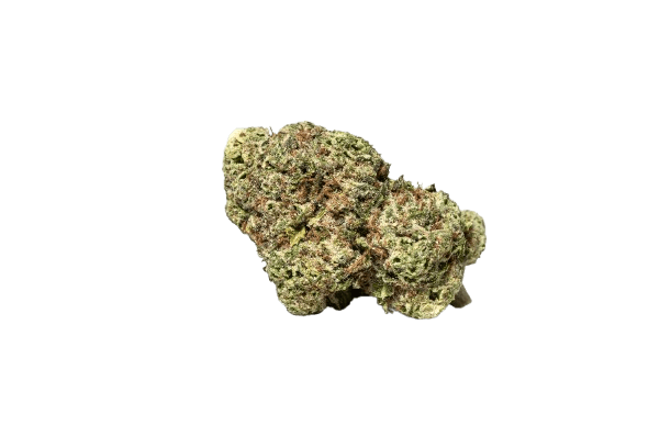 NOC KS 23/1 KO x Sherbet Shocker