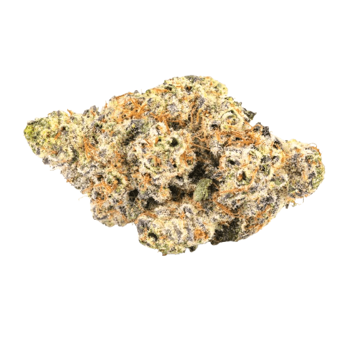 30/1 Amici BP Blue Pavé