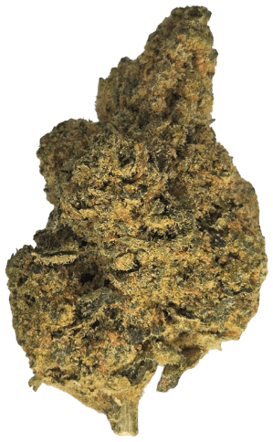 30/1 Amici SLH Super Lemon Haze