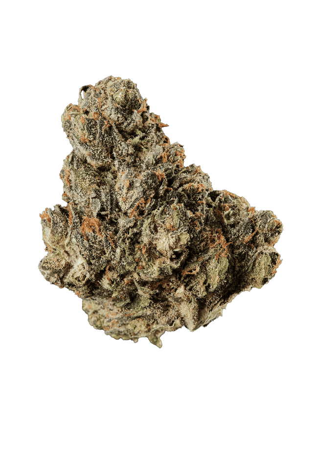 420 Compound 18/1 CA GAG Glaced Apricot Gelato