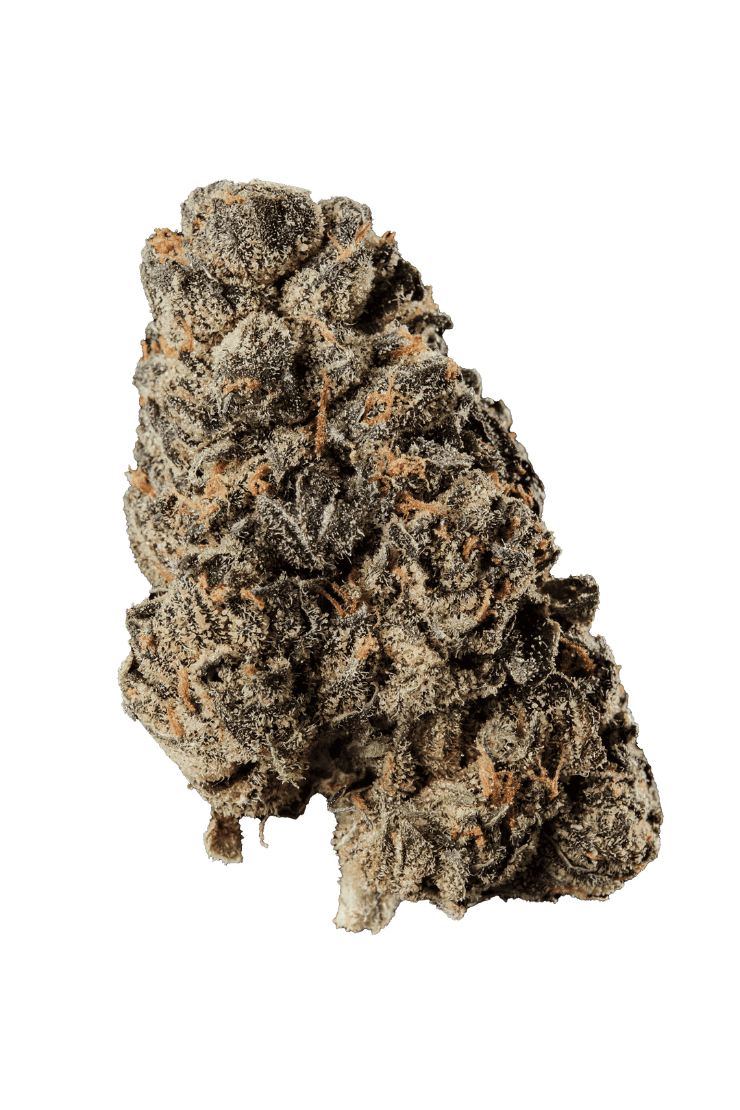 420 Evolution 20/1 CA LCG Lemon Cherry Gelato