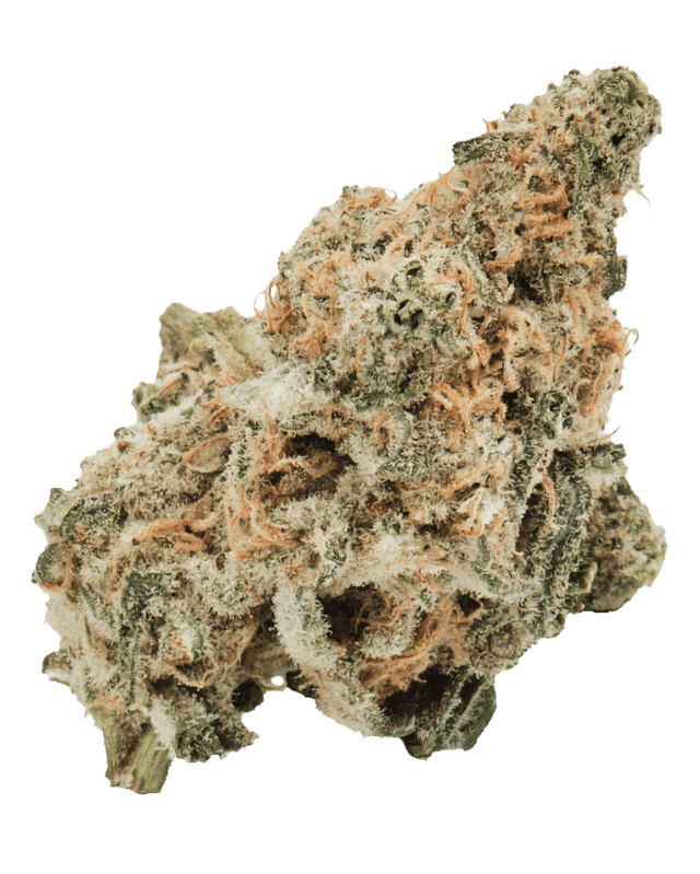 420 Evolution 22/1 CA MAC