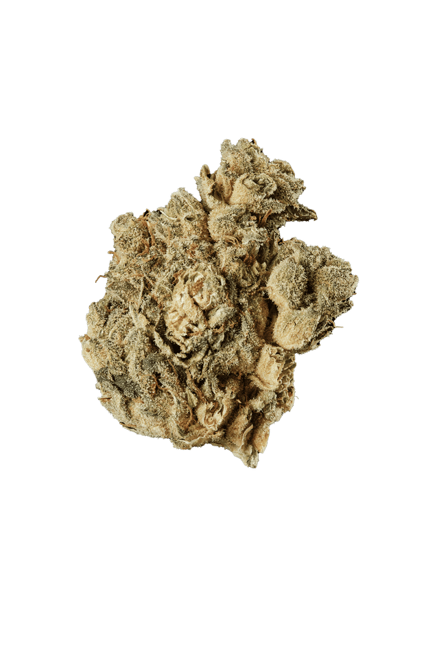 420 Evolution 22/1 CA PVB Private Banana