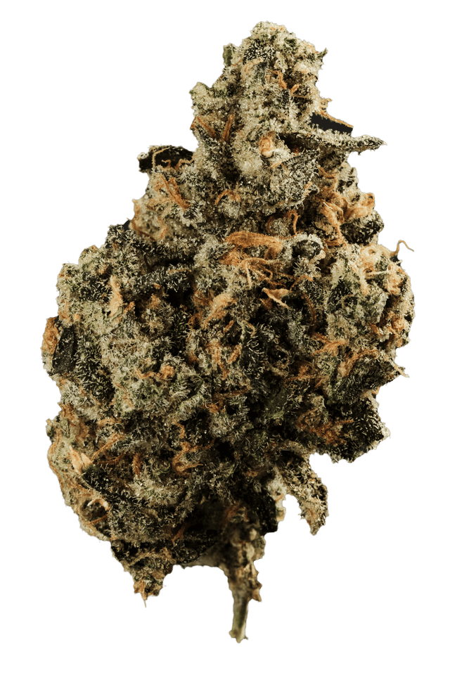 420 Evolution 25/1 FLM CA Frozen Lemon Mints