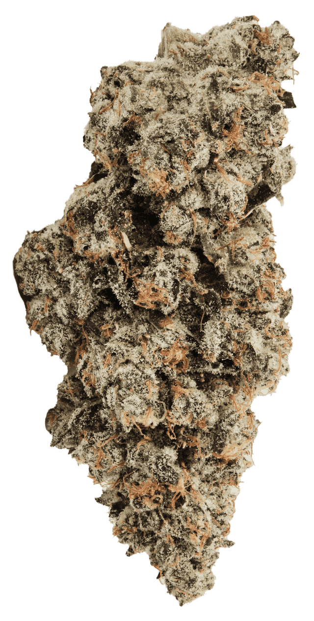 420 Evolution 25/1 CA WES Wedding Singer