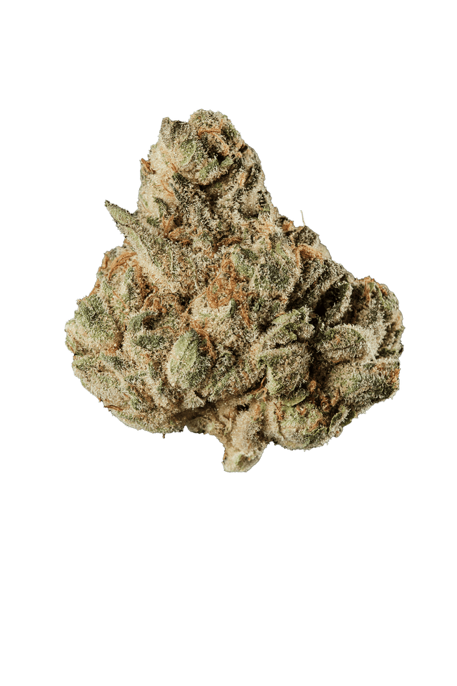 420 Evolution 27/1 CA MFG Modified Grapes