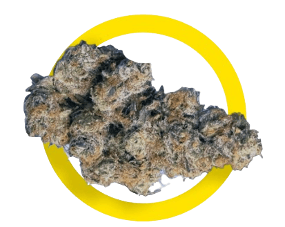 Adrex Dank Craft 30 UC CAN Ultra Coconut