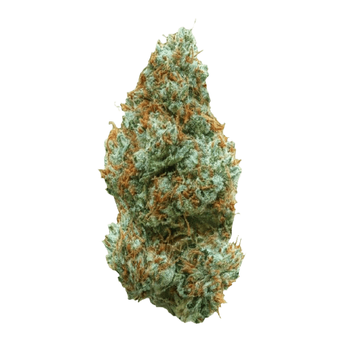 All Nations LT 30/1 Lemon Tartz