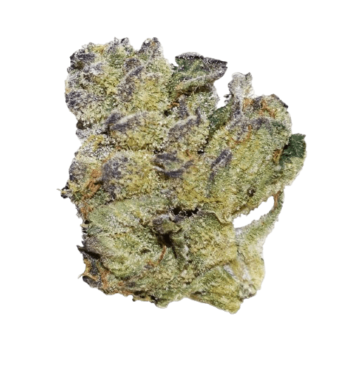 AphriaRX THC25 SNS Sunset Sherbet