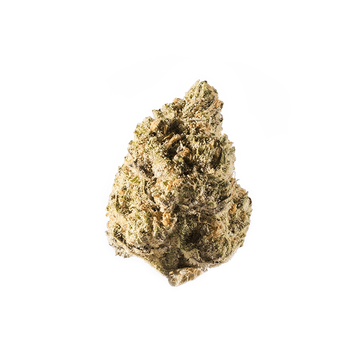 avaay 15/1 PYC Peyote Critical