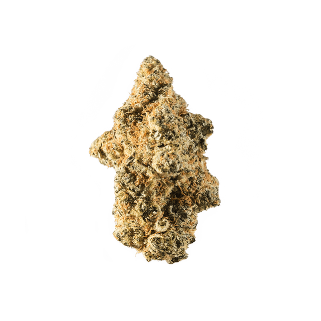 avaay Signature 23/1 WB Waffle Bites