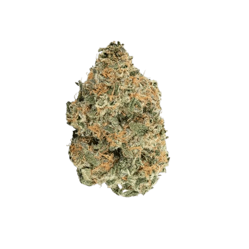 avaay 29/1 SCP Sour Cherry Punch