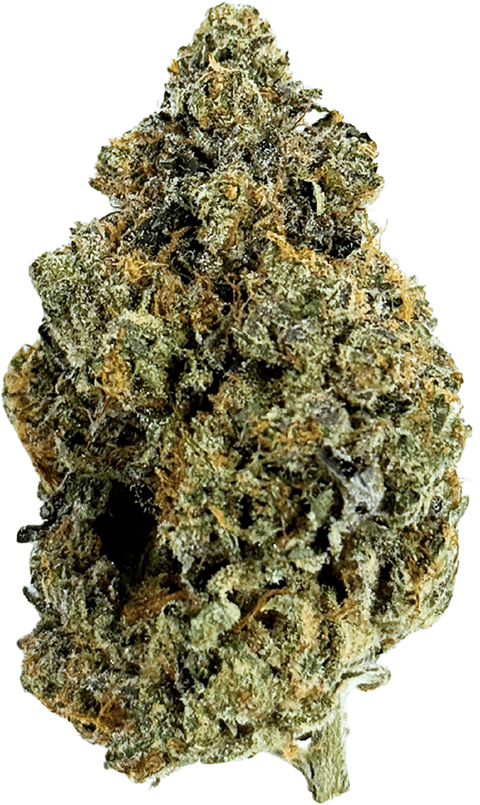 avaay SIGNATURE 23/1 ARC Apple Rock Candy