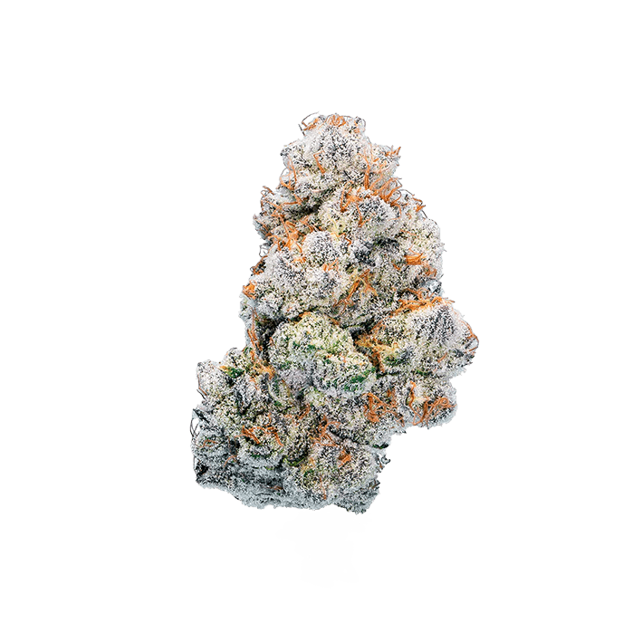 avaay SIGNATURE 28/1 GPM Gun Powder Milkshake