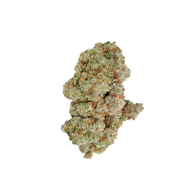 avaay Signature 29/1 OGC Ocean Grown Cookies