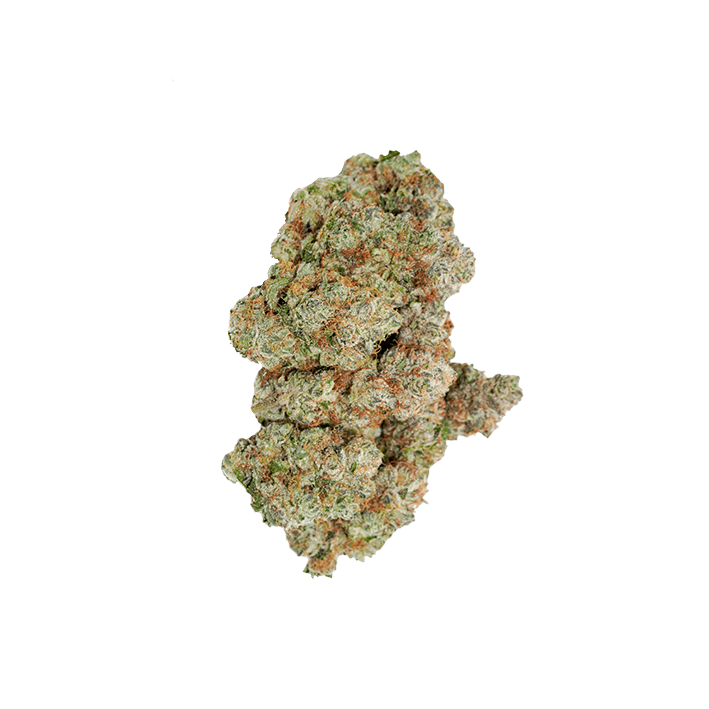 avaay Signature 34/1 OGC Ocean Grown Cookies