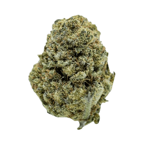 Barongo 26/1 FB Frosted Sweet Tooth