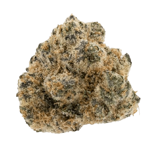 Barongo 26/1 LAK LA KUSH