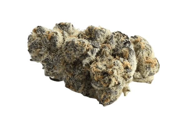 BC Green 24/1 A&G Apple & Gas