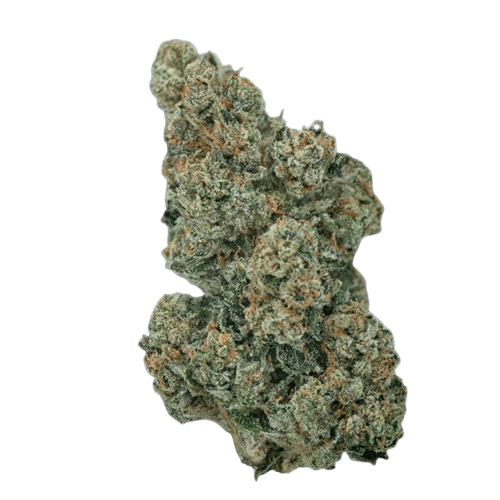 BUUO 23/1 BV Boom Voyage