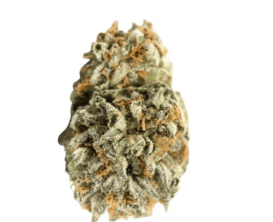 Buuo 30/1 ABB Kandy Klouds Kush Popstars