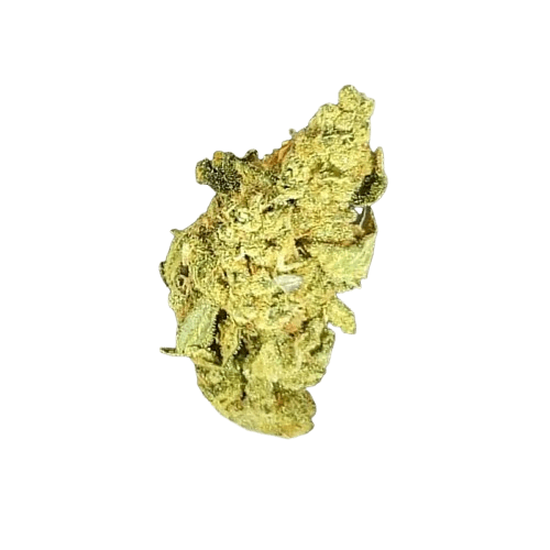 CannabiStada GAB 25 Garlic Breath