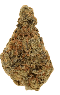 Cannamedical Hybrid Classic KA Ring of Sour