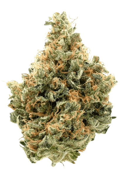 CherryCo THC 25 Sativa Arctic Gorilla
