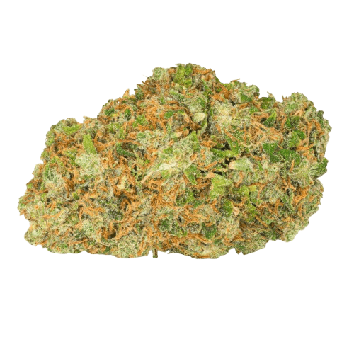 Christophorus Pedanios 22/1 Ghost Train Haze Extrakt