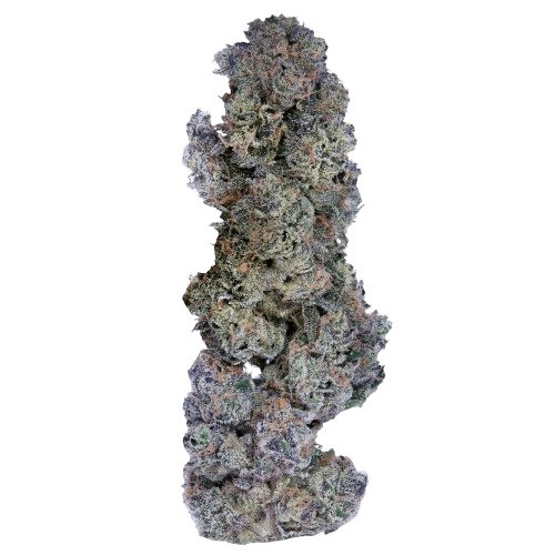 Cookies 2.0 Apples & Bananas 26/1 CAN