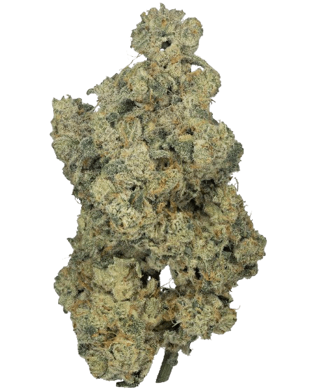 Cookies 2.0 Medellin 26/1 CAN