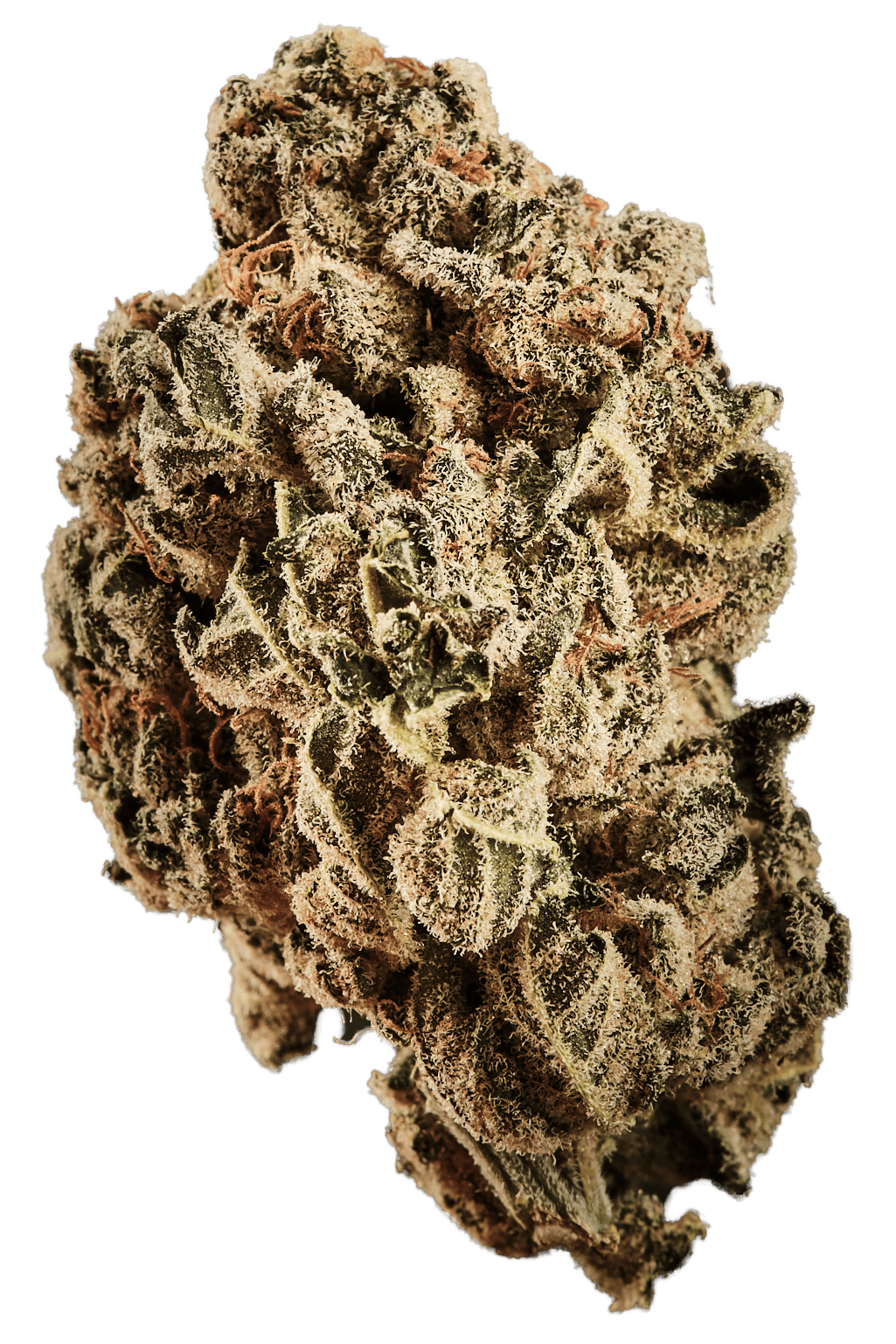 Curaleaf Natural 20/1 PT LVC Lavender Cake