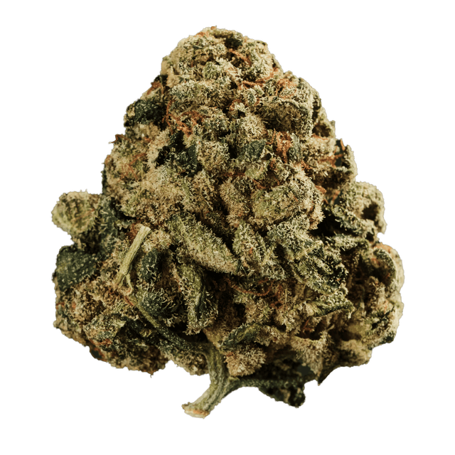 Curaleaf Natural 25/1 PT WPT Wedding Pop Triangle