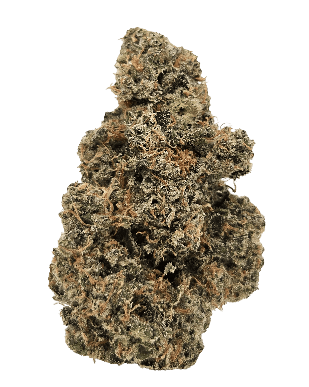 Drapalin 29/1 Cape Canaveral Girl Scout Cookies x Mandarin Sunset