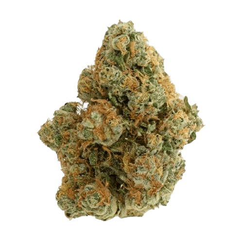 Drapalin 31/1 Da Fux Gary Payton x Gushers