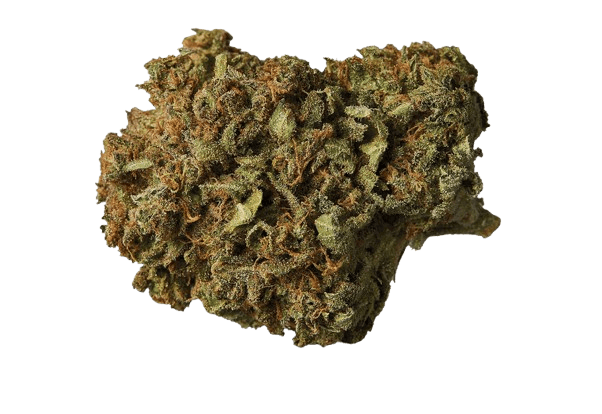Good Supply Cannabisblüten THC22 SNL Snow Leopard