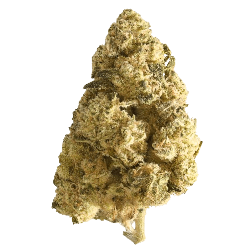 Green Karat SD 30/1 Supreme Diesel