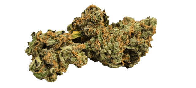 IndiMed 20/1 ISS - DE Island Sweet Skunk