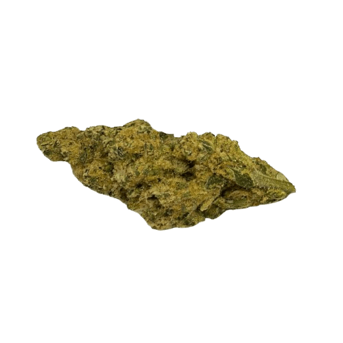 LIT 31/1 SNW Snow Lotus