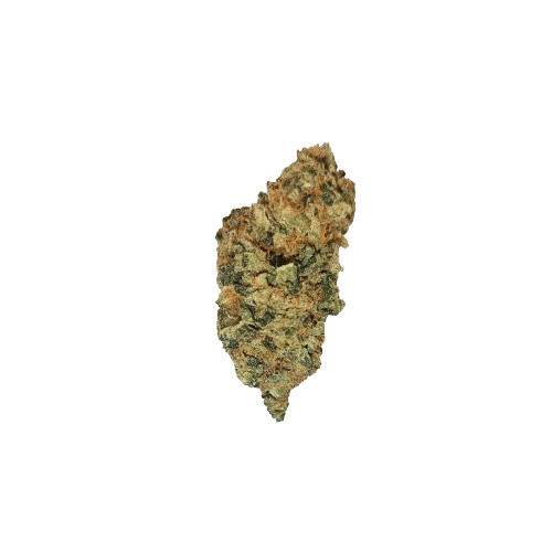 NICE 18/1 SEC Secret Cookies