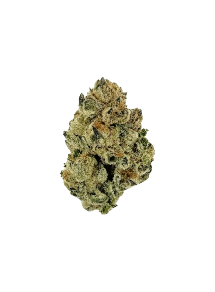 NICE 20/1 VC Vanilla Cake